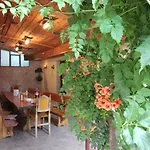 Irena Daire Novi Vinodolski